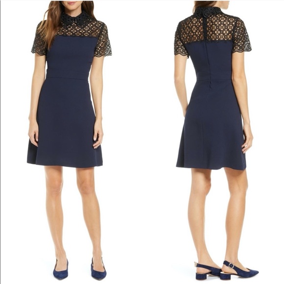 1901 Dresses & Skirts - NWT Navy LACE YOKE Peterpan COLLARED DRESS M